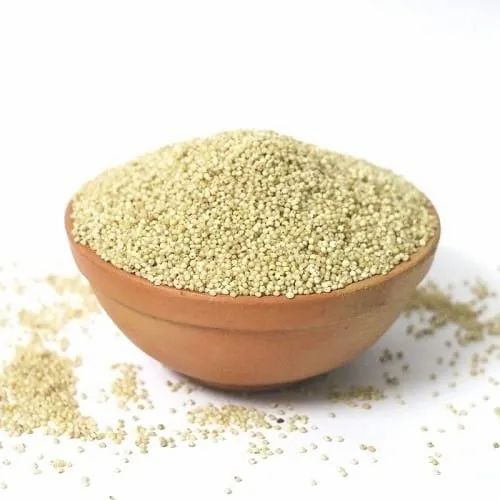 barnyard millet