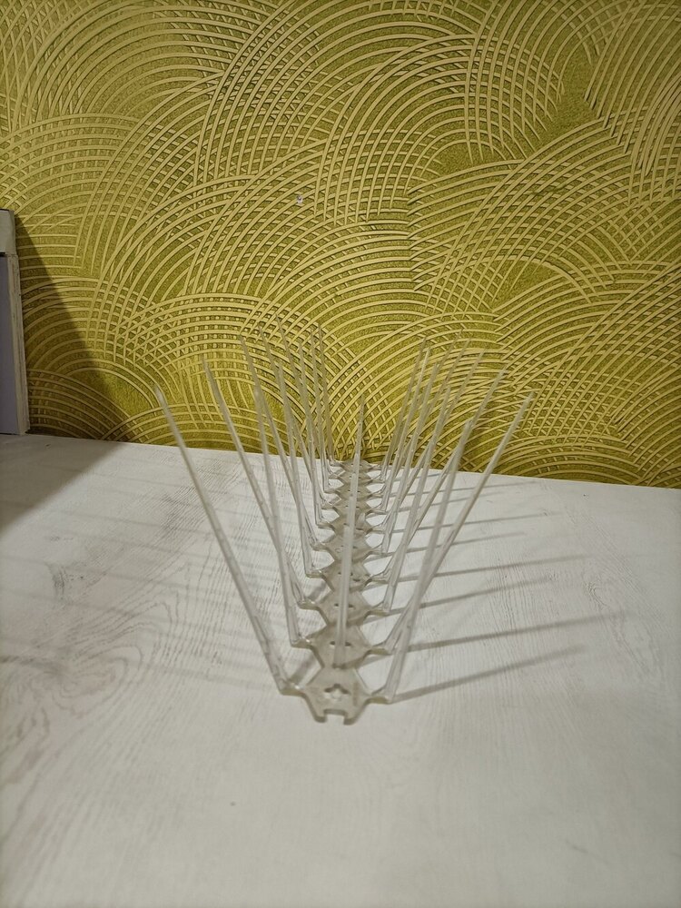 Polycarbonate Bird Spike - Shelf Life: 24 Months