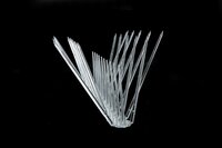 Polycarbonate Bird Spike