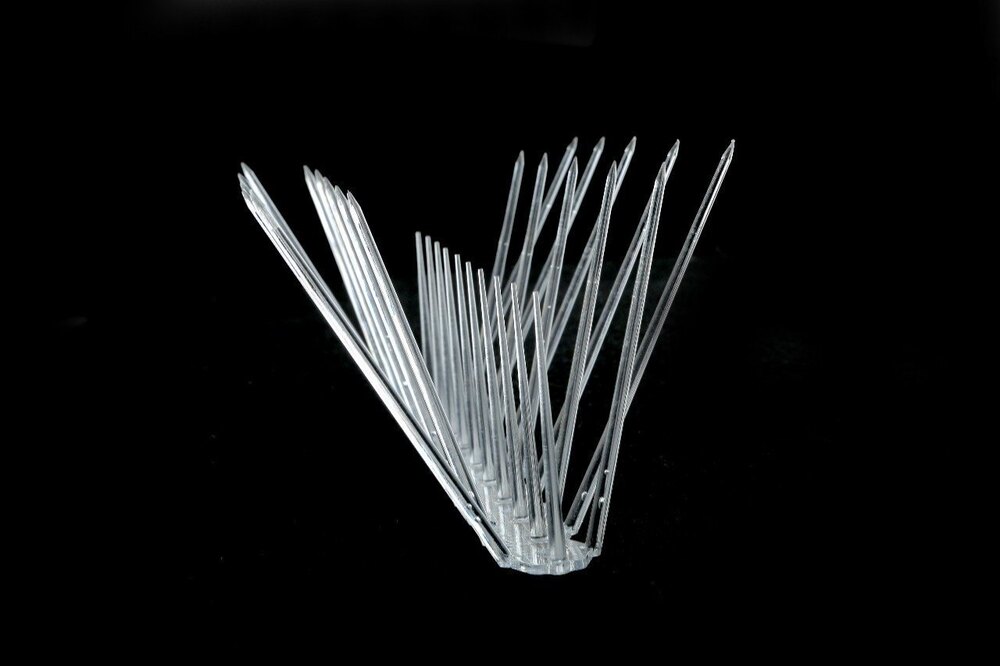 Polycarbonate Bird Spike - Shelf Life: 24 Months