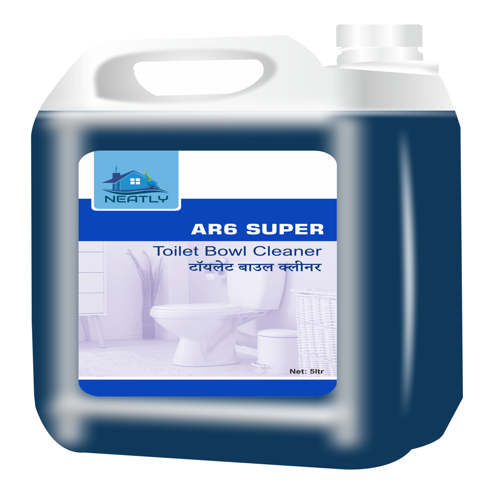 R6 TOILET BOWL CLEANER 