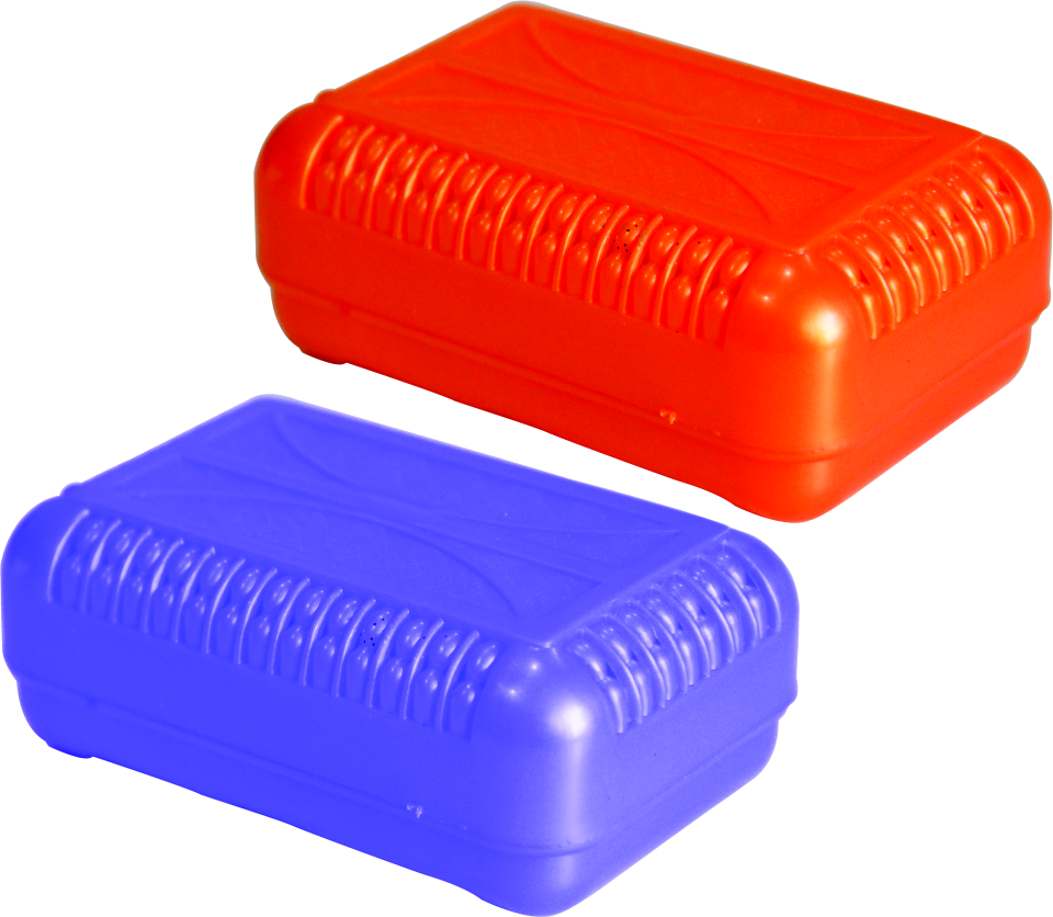SANDALWOOD SOAP CASE
