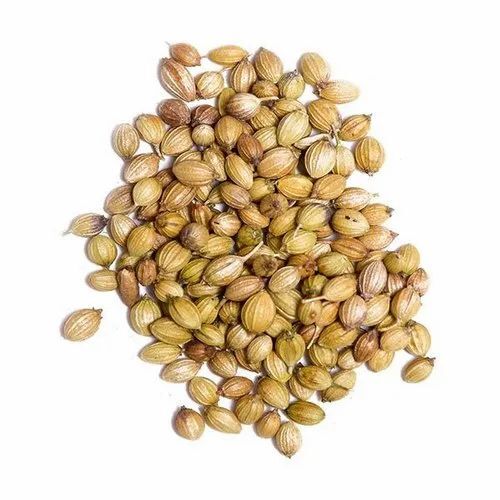 corinder seeds