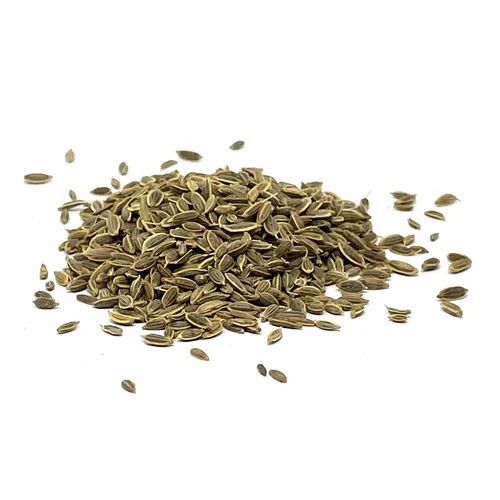 dili seeds