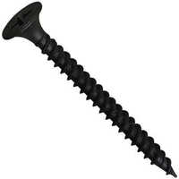Black Gypsum Screw - Finish: Polished