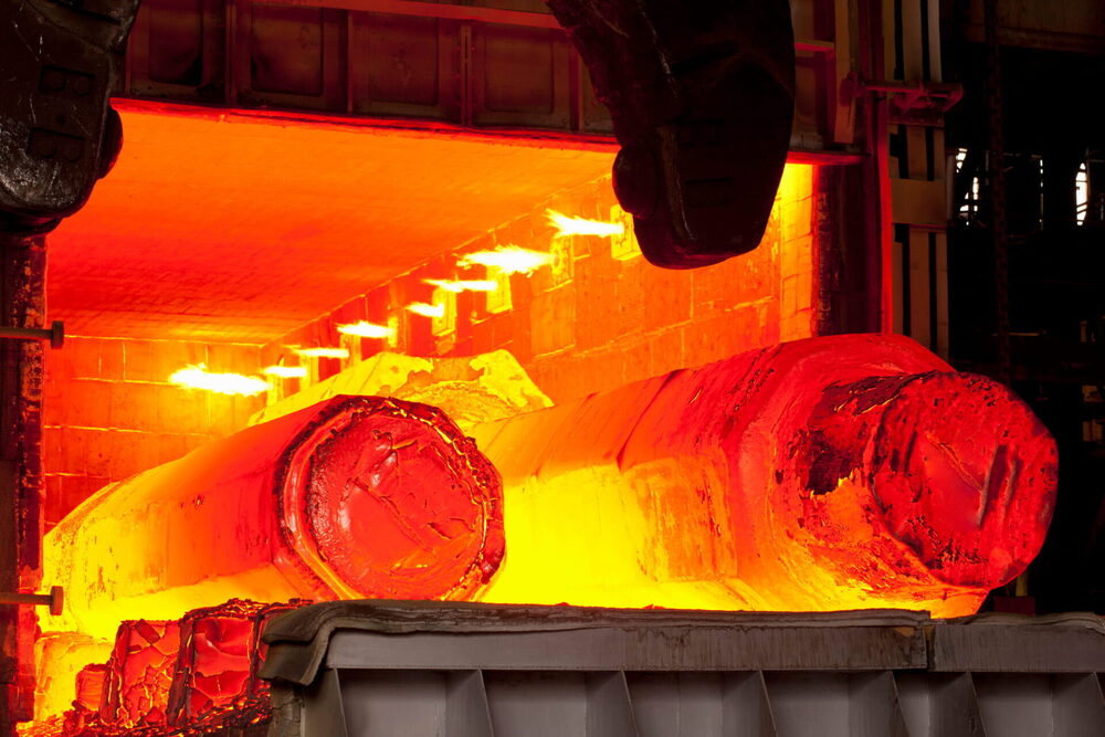 Heat Treated Plant