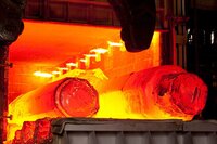 Heat Treated Plant
