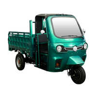 E Rickshaw Loader - Battery Capacity: 50 Ah Ampere-hour  (ah)