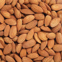 Badam (Almond) - Cultivation Type: Common