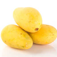 Ripe Mango - Cultivation Type: Common
