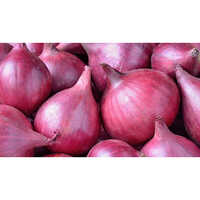 Red Onion - Moisture 5%-10%, Raw Fresh Piece Form | Shelf Life 7-10 Days, Normal Preserving Compound for Optimal Freshness
