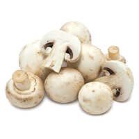Button Mushroom