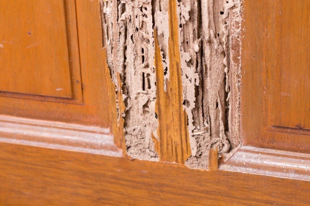 Post Construction Anti Termite Treatment