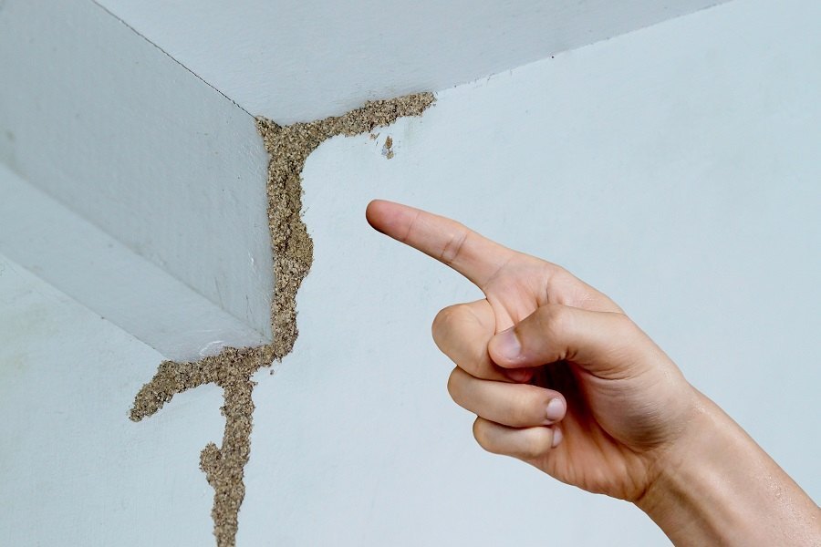Post Construction Anti Termite Treatment