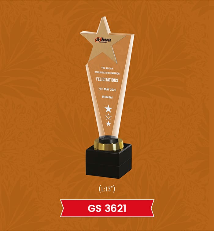Star Acrylic Trophies