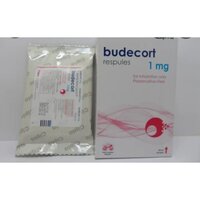 Budecort 1 Respules 2 Ml - Ingredients: Budesonide 1mg