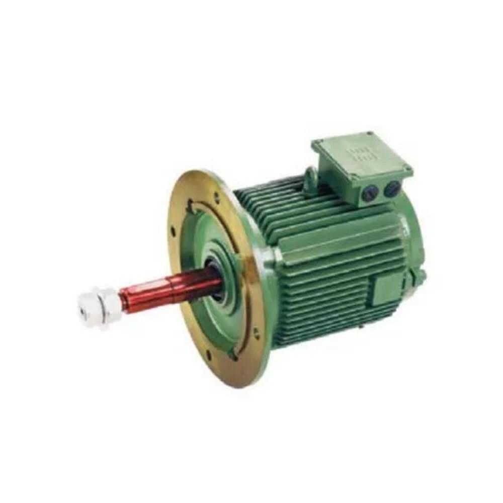 Cooling Tower Motors Flange Mounting - Color: Green