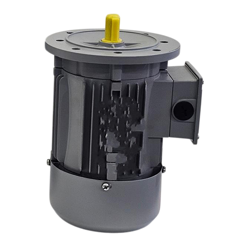 Induction Motor - 50 Hertz, Three Phase , Totally Enclosed, Electric Start, Rated Voltage 415 Volt, 1 Year Warranty