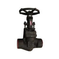 Forged Steel Globe Valve