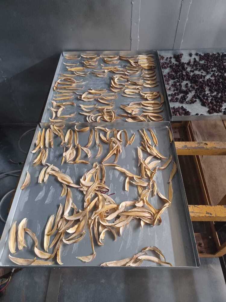 Agro Dryer