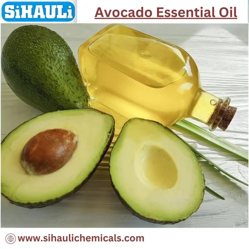 Avocado Essential Oil Manufacturers, Suppliers, Exporters From Vasai Mumbai