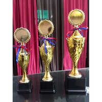 Fancy Sports Trophy Cup
