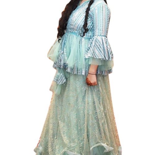 Embroidered Net Design Dress