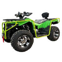 300CC Panther Atv Quad Bike