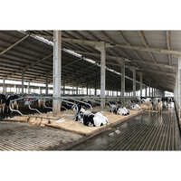 Dairy Farm Sheds - Color: Any Color