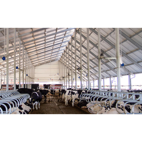 Dairy Farm Sheds