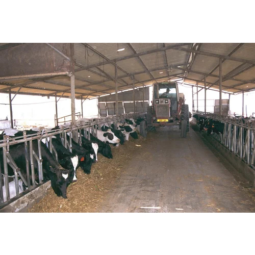 Dairy Farm Sheds