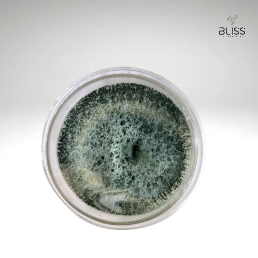 Trichoderma Harzianum Technical - Grade: Industrial