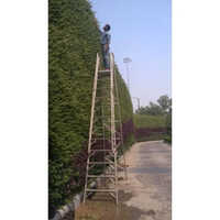 Bio Garden Wall Services