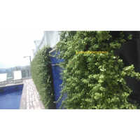 Bio Wall સેવાઓ