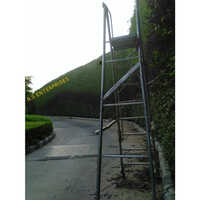 Bio Green Wall Service