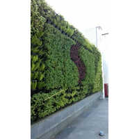 Bio Wall Design Solution