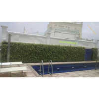 Green Bio Wall સેવાઓ