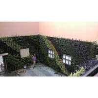 Vertical Indoor Decorative Wall Garden