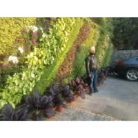 Green Wall Panel
