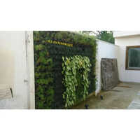 Fasade Green Wall for Home and Office