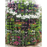 Color Full Natural Vertical Garden