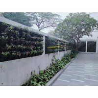 Green Wall For Terrace Garden