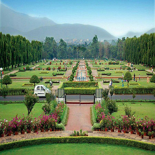 Landscape and Beautification