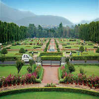 Landscape and Beautification