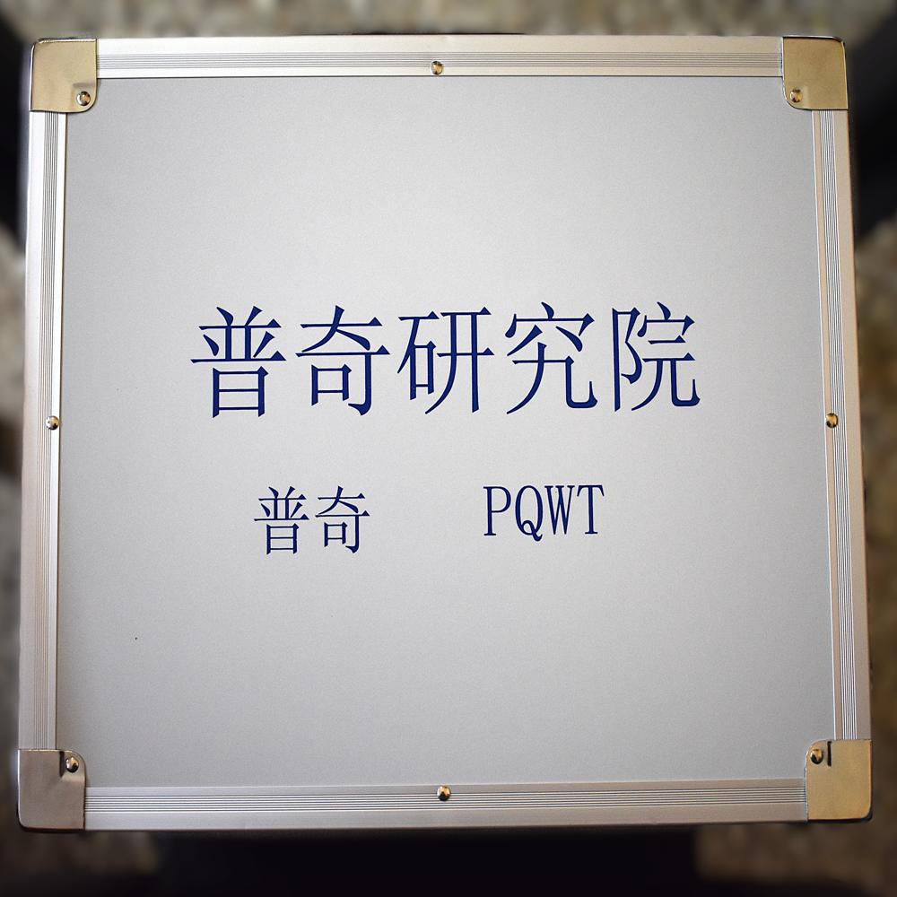 Pqwt-gt150a Series Auto-analysis Geophysical Detector - Accuracy: 0.001 Mg