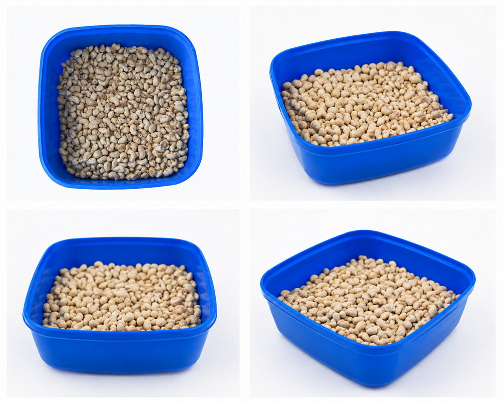10Kg Sb Spend Fresh Whole Cashew Nuts - Color: White