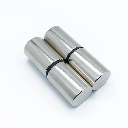 20x30mm Neodymium Cylinder Shape Magnet