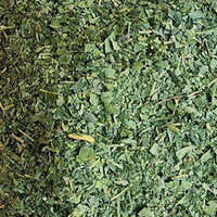 Neem Leaves