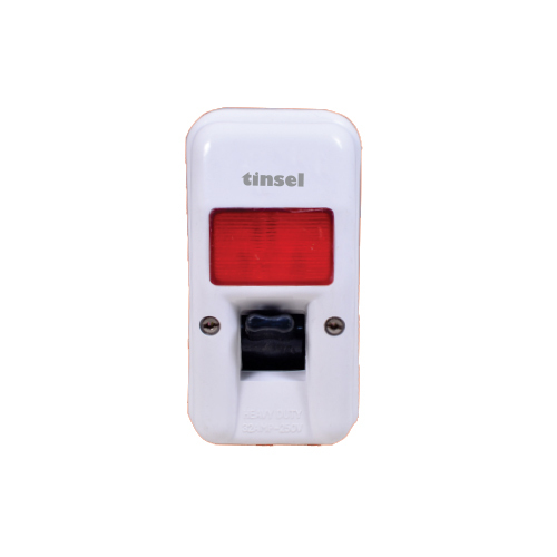 32A 250V DP Switch