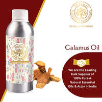 Calamus Oil